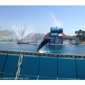 Parc aquatique de MarineLand