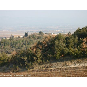 ALAIRAC vu des vignes et sur fond de la Montagne Noire