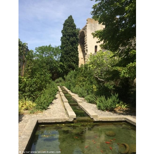 Intérieur du Château de Tarascon (Bouches du Rhône)