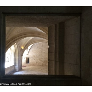 Château de Tarascon (Bouches du Rhône)