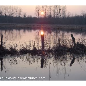 coucher de soleil sur les marais