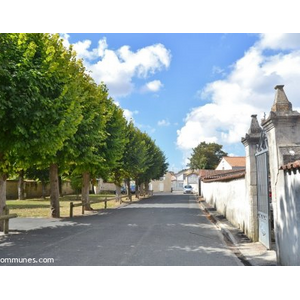 Commune de SALLES SUR MER