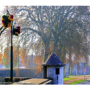 Auxonne.21.Bord de Saône.