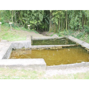 le lavoir