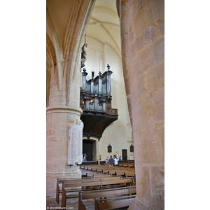  cathédrale saint Sauveur