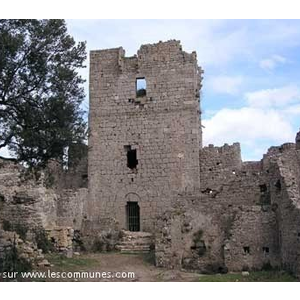 Château de Fressac