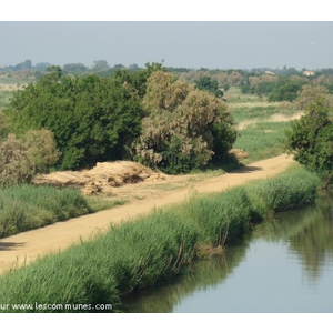 Etangs de Petite Camargue