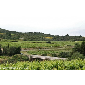 Campagne de La caunette