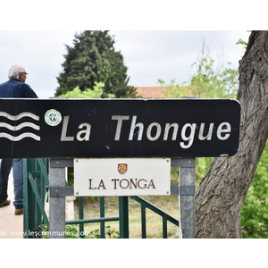 la thongue Rivières 