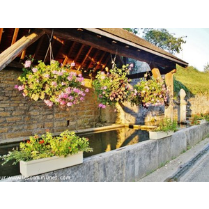 Lavoir 