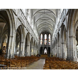 cathédrale Saint Louis  