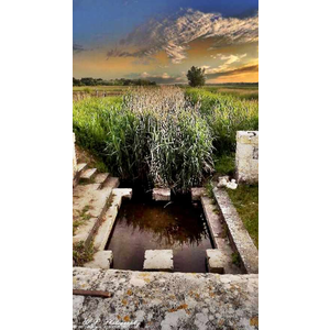 Vestige d un lavoir .