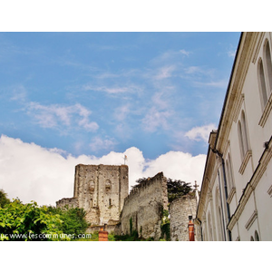 Le Donjon ( Ruines )