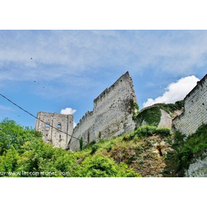 Le Donjon ( Ruines )