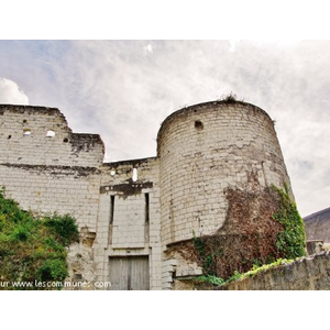 Le Donjon ( Ruines )