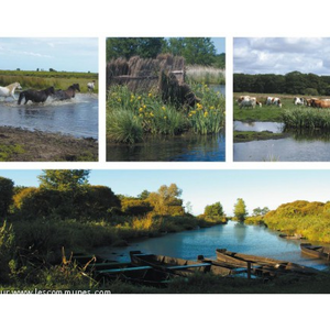 Marais de Brière, Balade en barque et calèche, r...