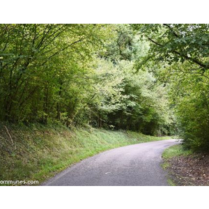 Commune de SAINT CREPIN AUX BOIS