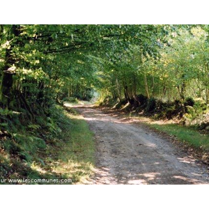 Chemin de randonnée