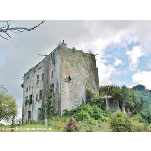 Ruines du Château