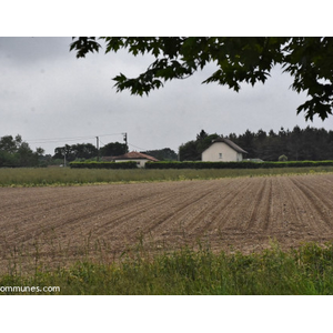 Commune de COUBLUCQ