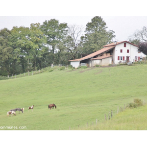 Commune de USTARITZ