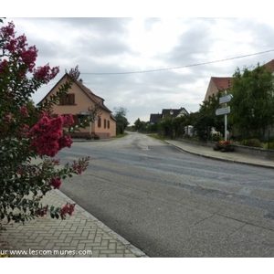 Croisement vers Oberlauterbach