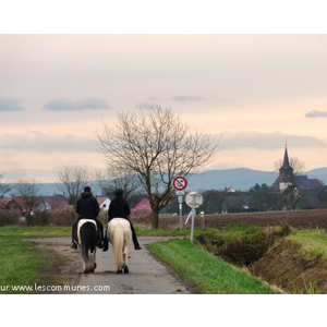 Promenade à cheval en direction de Salmbach