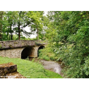 Pont sur La Cosanne