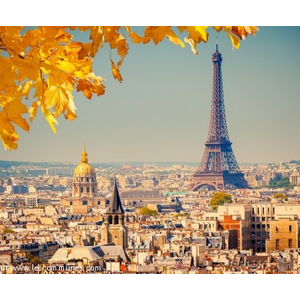 Vue sur Paris et la tour Eiffel