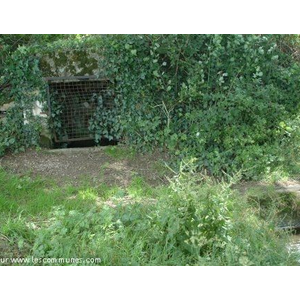 Fontaine St Barthélémy  AZAY