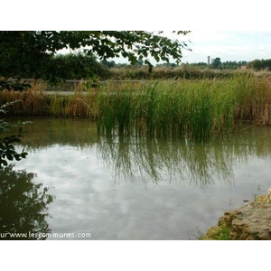 La Mare de Fonfrèroux