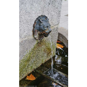 Fontaine ( Détail )