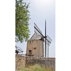 le moulin