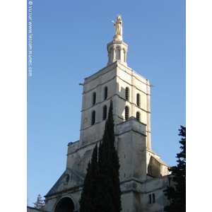 Avignon - Palais des Papes