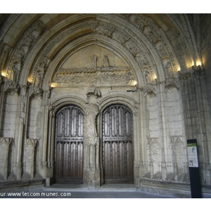 Photos de Palais des Papes a Avignon