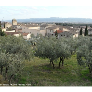 Photo du village et des oliviers.
Village provençal typique du Parc Régional du Luberon, proche de tout (10 min de l autoroute, 1h de la méditerranée...) mais dans un secteur  calme  du Luberon !
Multiples randonnées à proximité, Durance à 2km, Golf de 