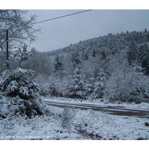 Neige en forêt   Evaux et menil