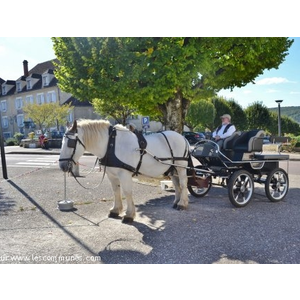 Visite du Village en Calèche 